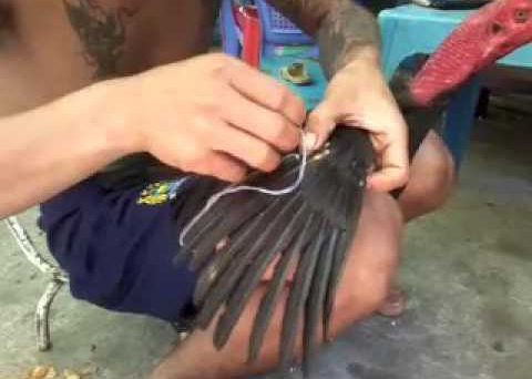 Tết lông gà đá bằng chỉ, keo nến với những kỹ thuật chuẩn nhất 16 ga da