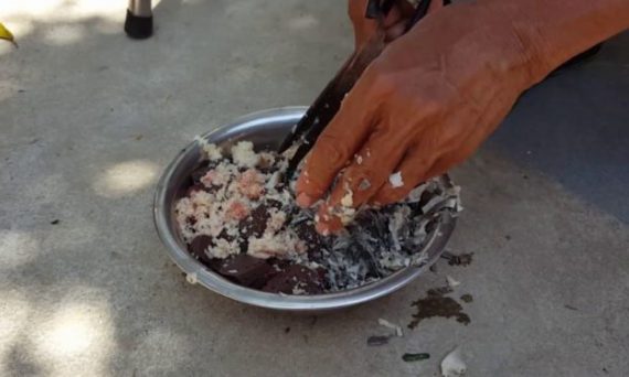 Làm mồi cho gà đá và những bí mật giúp mồi trở nên 6 vo moi cho ga