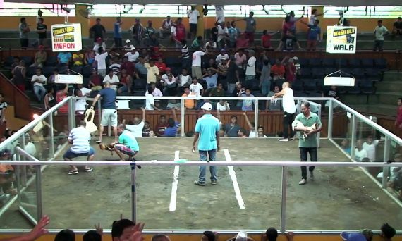 Trường đá gà thomo đang chiếm giữ vị trí quan trọng của ĐNA 19 Trường gà Thomo