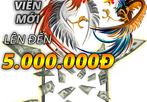 Khuyến Mãi Lớn Chơi Đá Gà Trực Tiếp Campuchia 21 đá gà cựa sắt