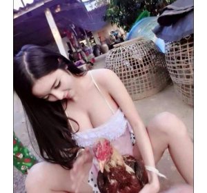 Girl xinh nóng bỏng chơi đá gà là có thật 1 girl xinh đá gà