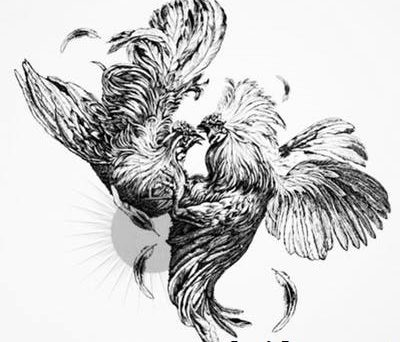 Những dị đoan trong đá gà của các sư kê khi đi đá 4 chơi đá gà