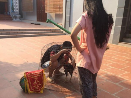 Mang gà đi karaoke chung vợ đòi ly dị vì mê gà hơn vợ 28 mê gà hơn vợ