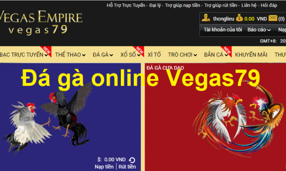 Chơi đá gà online Vegas79 tại nhà cái M8WinWin 35 đá gà online tại Vegas79