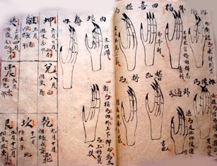 Xem ngón chân gà nhận biết gà tốt hay xấu 18 Xem ngón chân gà chọi