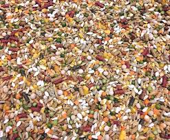 Thức ăn gà chọi theo công thức dành cho dân chơi đá gà 6 trộn ngũ cốc gà chọi