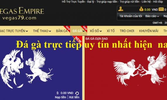 Top 3 trang thịnh hành đá gà trực tiếp uy tín nhất 37 đá gà trực tiếp