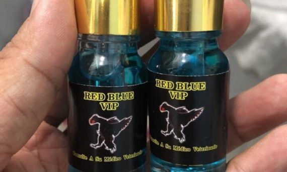 Top 5 thuốc gà đá cựa sắt bỏ túi cho sư kê 52 thuốc gà đá cựa sắt