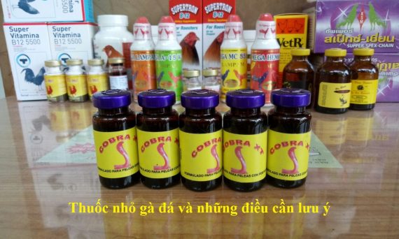 Thuốc nhỏ gà đá và những sai lầm khi mua 45 thuốc nhỏ gà đá