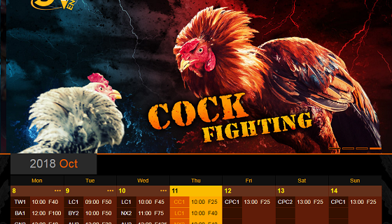 Đá gà trực tuyến và những nhà cái uy tín đáng chơi nhất 24 sv388 link