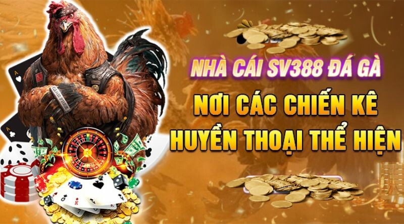 Đá gà SV388 đang dẫn đầu xu hướng top game trực tuyến ? 25 ly do nen tai da ga sv388 o nha cai sv388