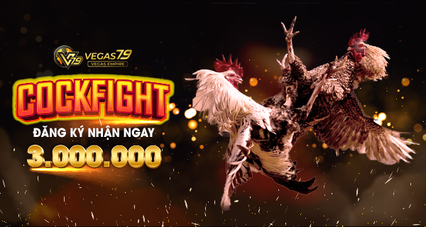 Đá gà vegas79 có phải địa chỉ uy tín để chơi ? 25 da ga mang vegas79