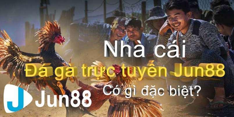 Đá gà Jun88 trở thành trò chơi đắt khách nhất năm 11 jun88