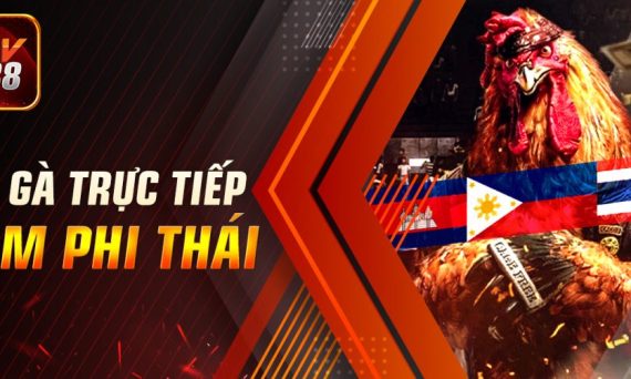 Cược đá gà casino trực tiếp đấu trường Thomo thắng siêu dễ 10 Da Ga Truc Tiep Cam Phi Thai