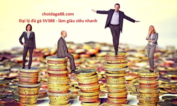 Làm đại lý đá gà trực tiếp là con đường làm giàu siêu nhanh 12 dai ly da ga sv388