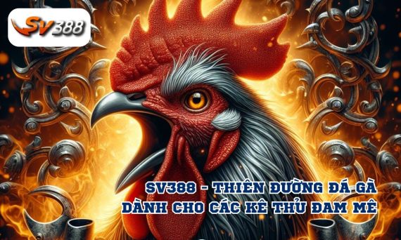 Nhà cái đá gà sv388 uy tín và nhiều người chơi nhất 9 sv388 1