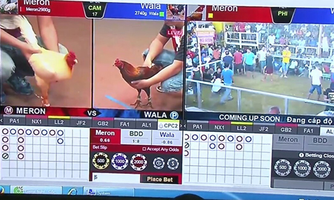 Đá gà qua mạng internet thỏa mãn nhu cầu người chơi tại Việt Nam 10 da ga qua manh