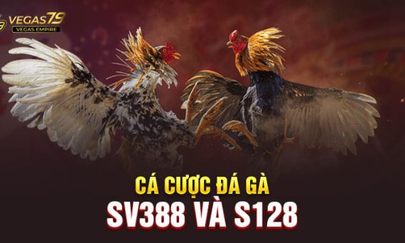 Tỷ lệ đá gà tại vegas79 có xác suất ăn cao nhất hiện nay 4 da ga vegas79