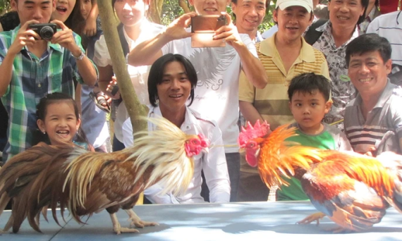 Cược đá gà là trò chơi trí tuệ không phải đỏ đen 27 Cuoc da ga