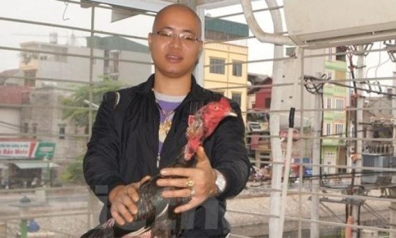 Tay chơi đá gà thực thụ hội tụ đầy đủ yếu tố nào? 13 Tay choi da ga