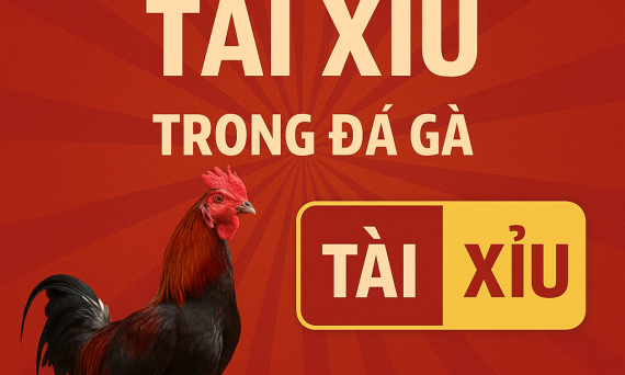 Mẹo Chơi Kèo Tài Xỉu Trong Đá Gà – Kiếm Lời Từ Thời Gian Trận Đấu 5 keo tai xiu ga da