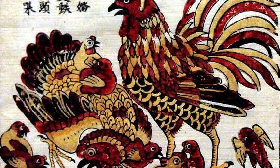 Bí Mật Truyền Đời Và Những Điềm Báo Lạ Trong Nghệ Thuật Chọi Gà 5 Bi Mat Truyen Doi