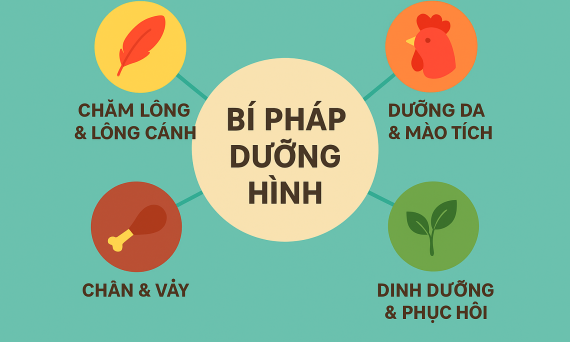 Bí Pháp Dưỡng Hình – Nghệ Thuật Chăm Sóc Ngoại Hình Chiến Kê 5 bi phap duong hinh