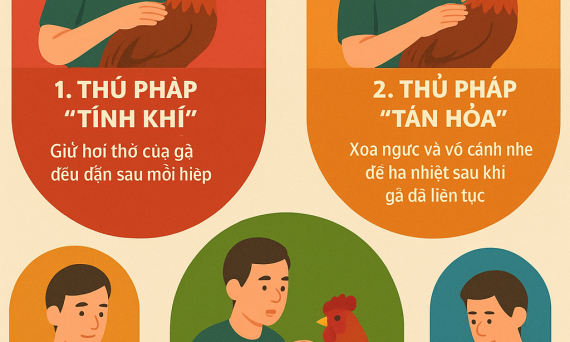 Tâm Pháp Ứng Trận – Bí Quyết Đọc Thế Đòn Và Dẫn Kê 15 tam phap ung ke