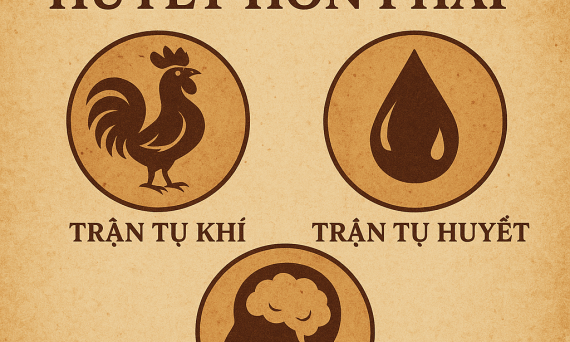 HUYỀN CƠ THỨ MƯỜI MỘT 14 HUYEN CO THU MUOI MOT